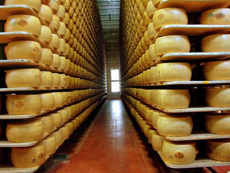 Parmigiano Reggiano - the store room