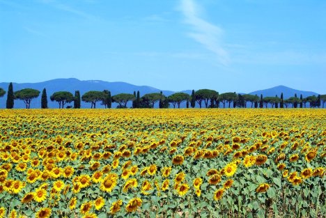 Maremma Toscana, Italy