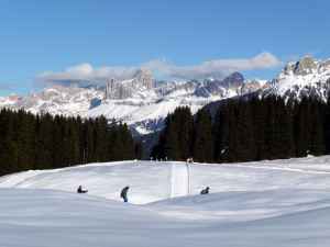 Cross-country skiing, Passo Lavazè, Dolomiti Superski, Italy