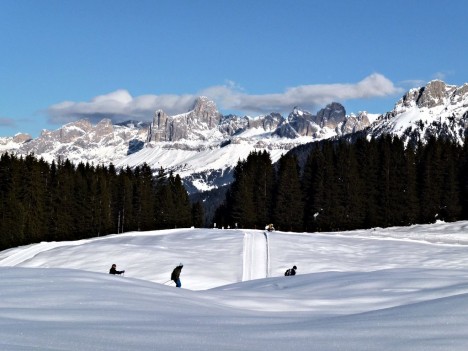 Cross country skiing in Passo Lavazè, Trentino-Alto Adige, Italy