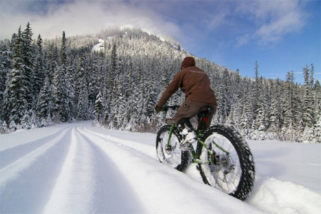 fat bike snow dolomites