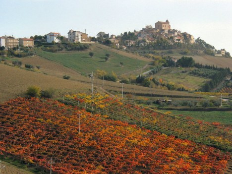 Monteprandone with Vineyards, Marche, Italy