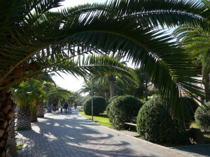 Lungomare, Palm Riviera, Abruzzo, Italy