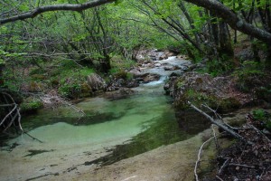 The stream Scerto in Camosciara, Abruzzo National Park, Italy