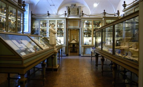 Museo per la storia, Pavia, Lombardy, Italy